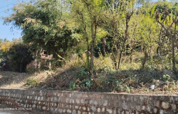 WhatsApp Image 2025-03-21 at 13.16.06