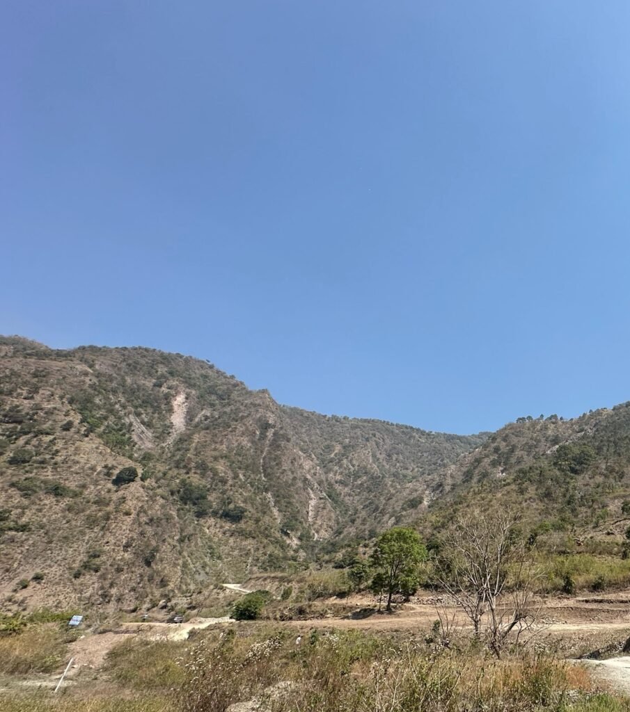 WhatsApp Image 2025-03-23 at 16.40.05