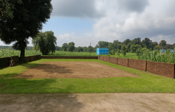 remove the shelter s